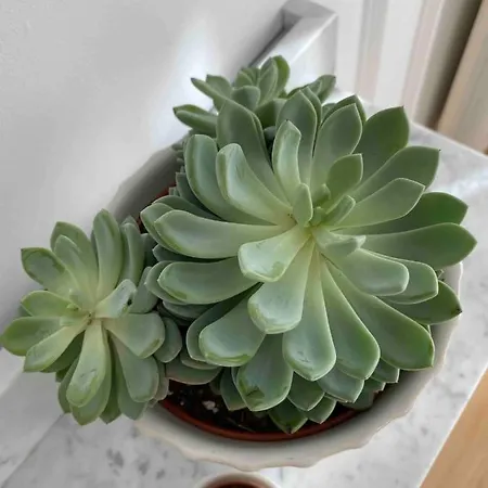 Διαμέρισμα Lolita Lux - Waterfront